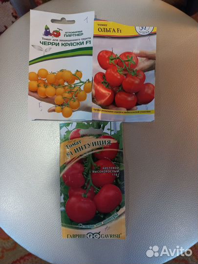 Рассада помидор среднекрупных томатов и черри