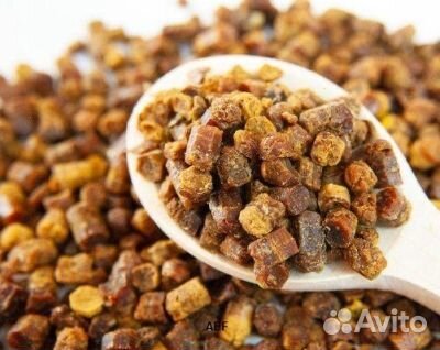 Перга 2024 год