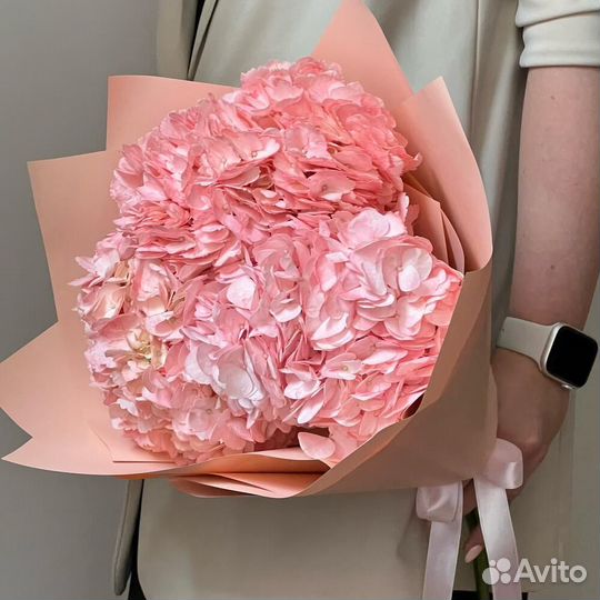 Гортензии, цветы Гортензии с доставкой