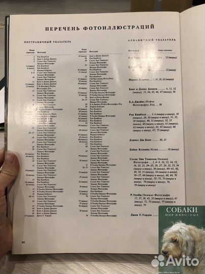 Книга альбом