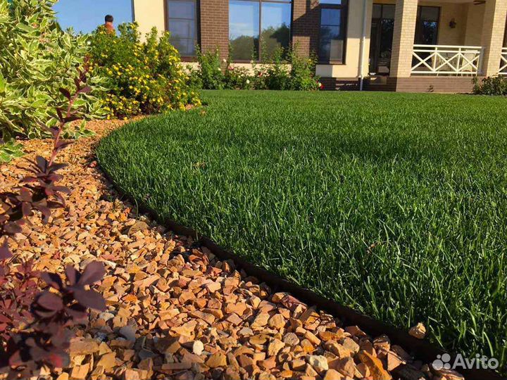 Рулонный газон, укладка, продажа