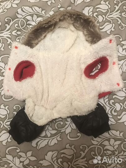 Одежда для собак