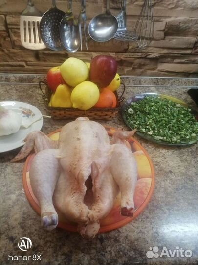 Мясо циплят бройлера