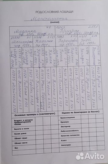 Продам лошадь