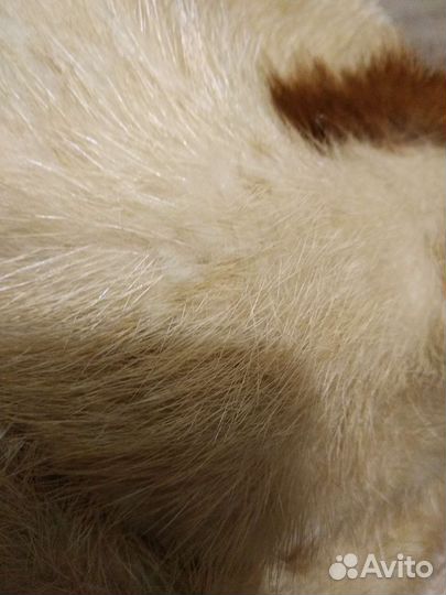 Шапка норковая женская 56