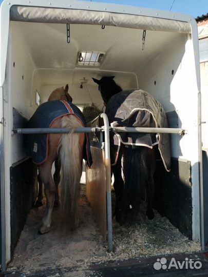 Перевозка животных и других грузов