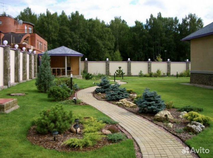 Ель голубая 7 лет- 70 см