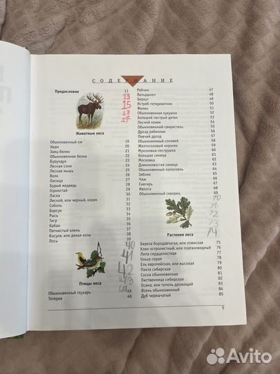 Большой атлас природы Росси и