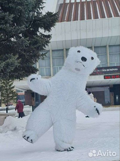 Белый мишка поздравление от ростовых кукол