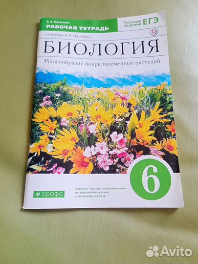 Рабочие тетради 6 класс