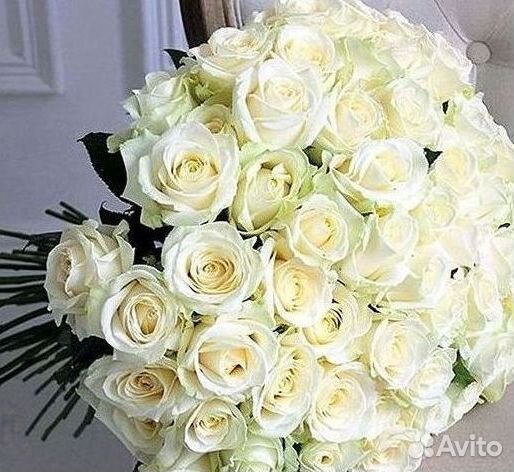 101 Роза Цветы Букеты 51 25 Роз Доставка