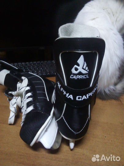 Коньки хоккейные RGX-300 alpha caprice, 36 размер