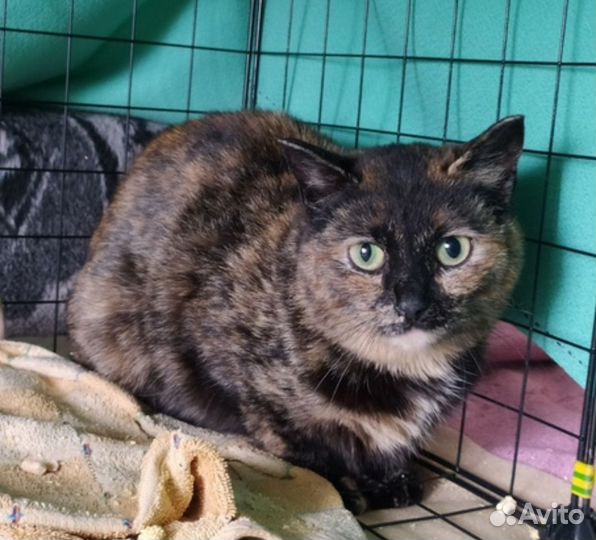 Подарите дом