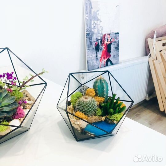 Флорариум Икосаэдр S