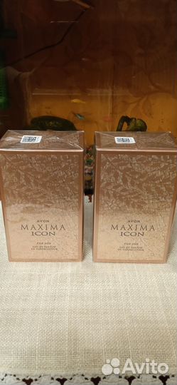 Maxima Icon Avon