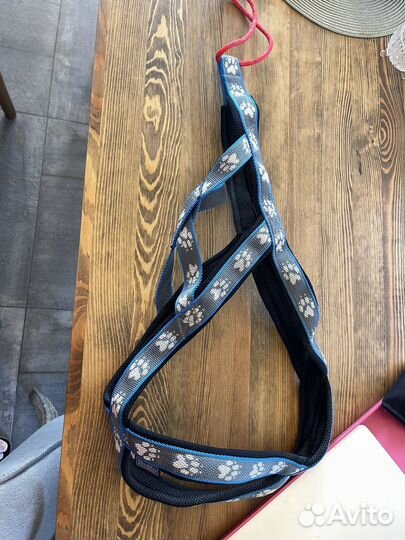 Шлейка для ездовых собак