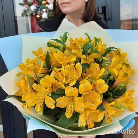Альстромерия желтая 45 шт