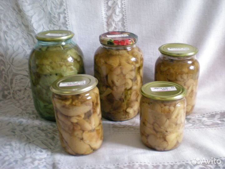 Маслята маринованные