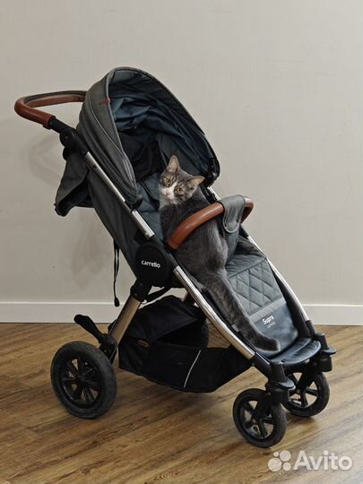 Коляска Supra Carrello