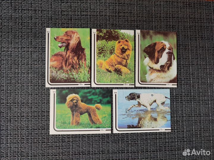 Карманные календарики собаки 4