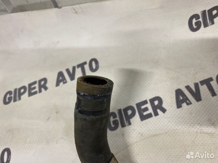 Патрубок радиатора Kia Sportage 4QL D4FE 2019