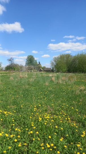 Участок 21 сот. (ИЖС)