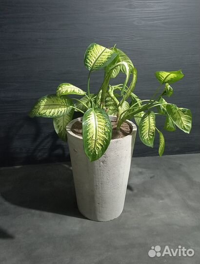 Вазоны для цветов