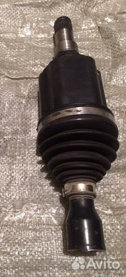 Шрус Орландо