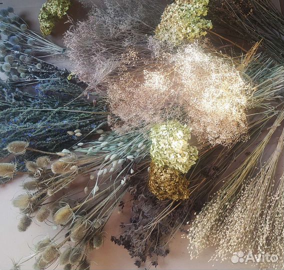 Сухоцветы для декора, творчества