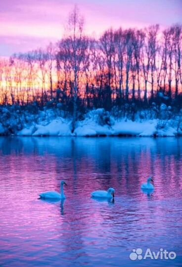 Туризм Зимние летние экскурсии по Чуйскому Тракту