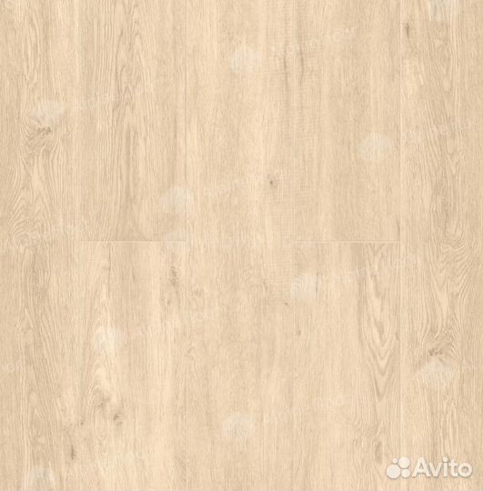 Alpine floor Classic Light Дуб Ваниль Селект ECO 1