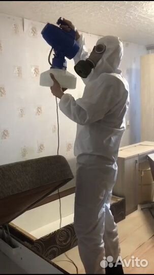 Дезинфекция от тараканов и клопов