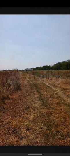 Участок 8 сот. (СНТ, ДНП)