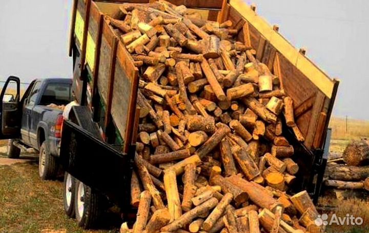 Дрова со Всеволожска