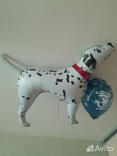 Гелиевые шары с обработкой