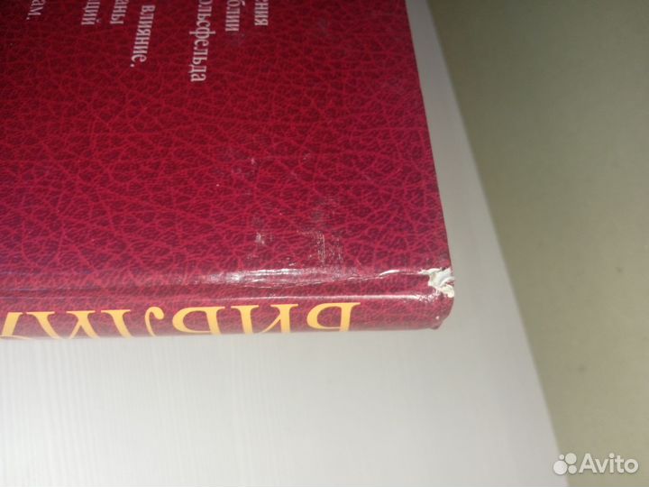 Библия иллюстрированная