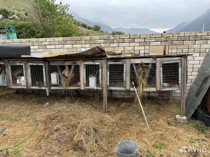 Клетки для кроликов