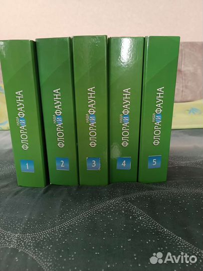 Папка скоросшиватель