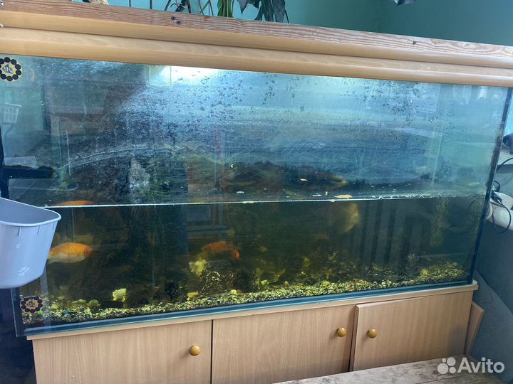 Аквариумы разные