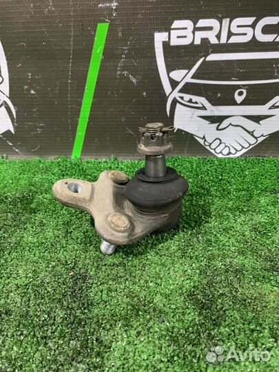 Шаровая опора передняя Toyota Corolla Runx NZE124