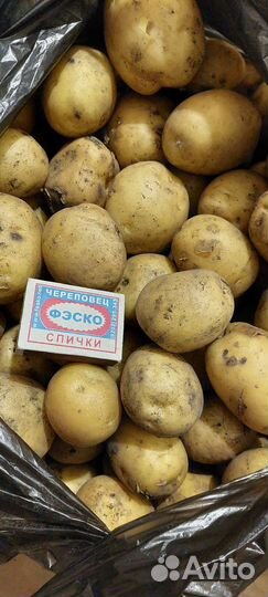 Ягода лесная