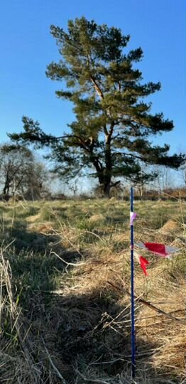 Участок 5 сот. (ИЖС)