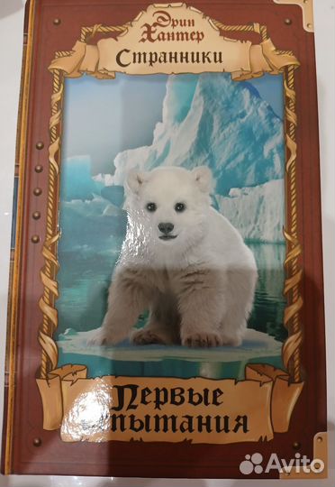 Первые испытания Странники