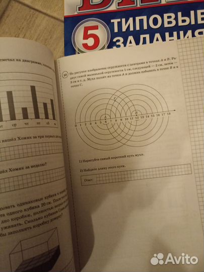 Учебные пособия 5 класс ВПР