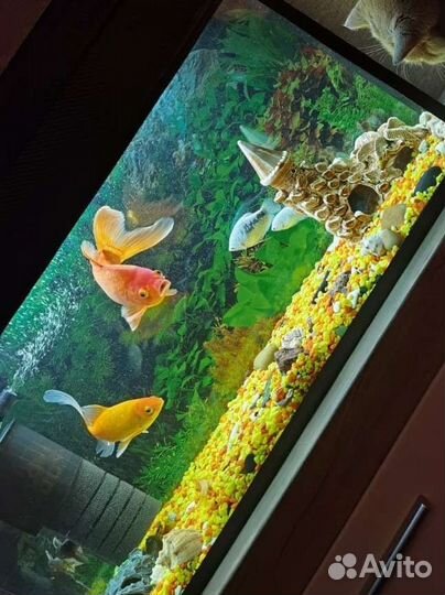 Грунт для аквариума