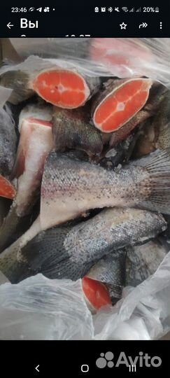 Хвосты форели морож