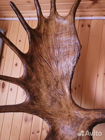 Продам рога лося для интерьера