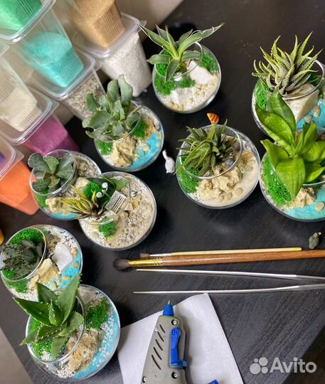 Композиции из комнатных растений