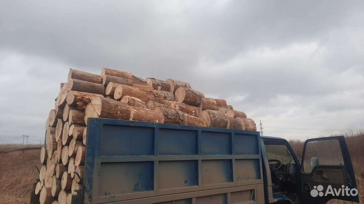 Дрова сухие сосна лиственница