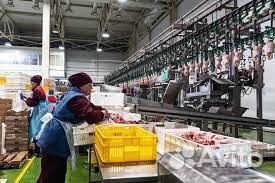 Упаковщик на линию - вахта в Челябинской области